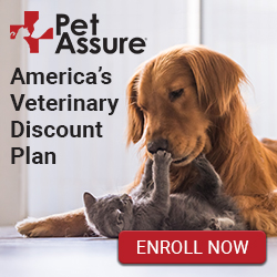 pet assure reviews the America's veterinary Discount plan