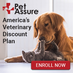 pet assure reviews - is pet insurance worth it