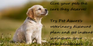 pet-assure