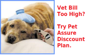 is pet insurance worth it